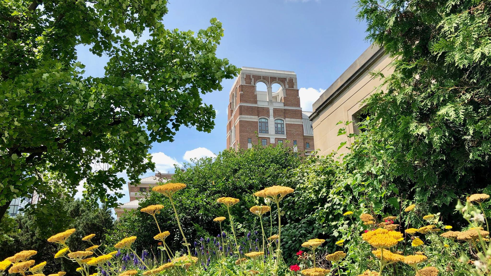 north quad building